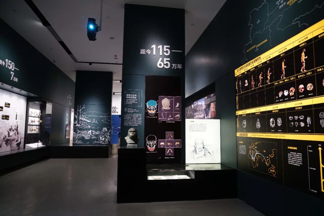 全国首座考古学科博物馆——陕西考古博物馆建成 4月28日起试行开放